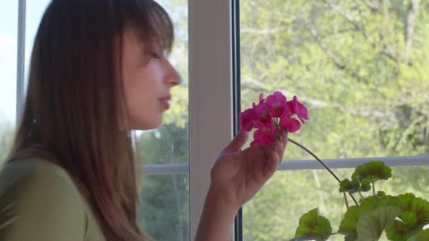 Atractiva mujer oliendo flores rosadas de geranio floreciente con los ojos cerrados — Vídeos de Stock