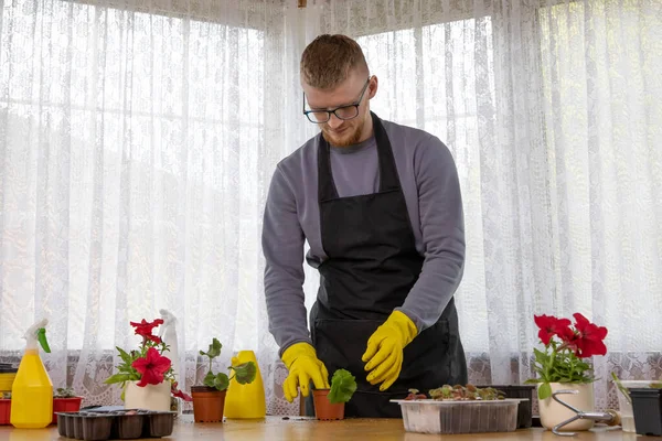 Νεαρός άνδρας με γυαλιά και ποδιά φυτεύοντας σπορόφυτα σε γλάστρες σε εξοχικό σπίτι — Φωτογραφία Αρχείου