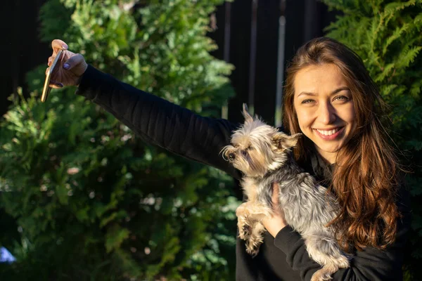 Bonita chica emocionalmente hace selfies con yorkshire perro mirando a la cámara — Foto de Stock