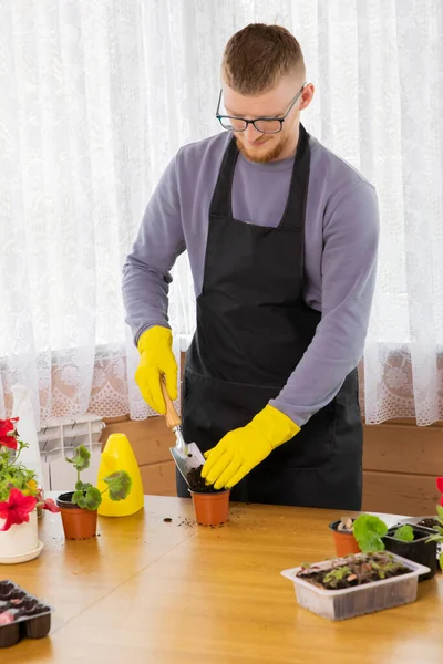 Young man with glasses and apron planting seedlings in pots in country house — Stock Photo, Image