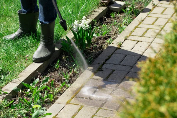 high-pressure washer cleans concrete stones of garden line in country house