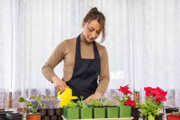 Atractiva chica positiva regando flores con regadera después de la plantación — Foto de Stock