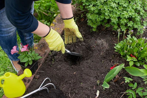 Jardinero femenino afloja el suelo en el macizo de flores para plantar plantas. Concepto de jardinería — Foto de Stock