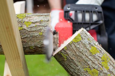 Elektrikli testere, tahtayı testere ile kesiyor. Yakın plan seçici odaklanma ile.