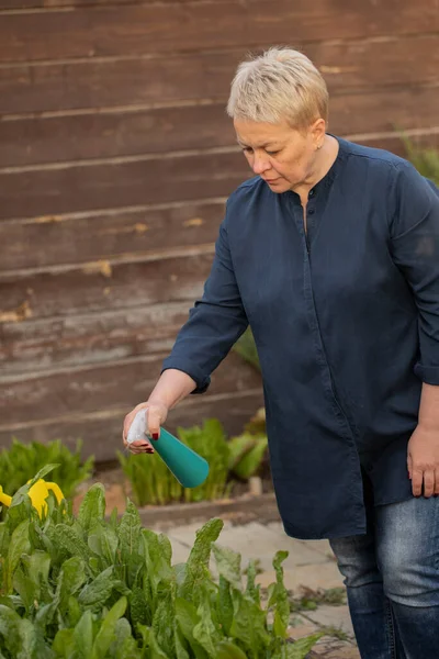 Atractiva mujer de mediana edad jardinero rocía plantas en el jardín con rociador — Foto de Stock