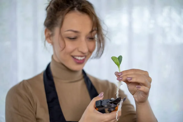 Feliz sonrisa chica atractiva recortar raíces de brotes de flores antes de plantar — Foto de Stock