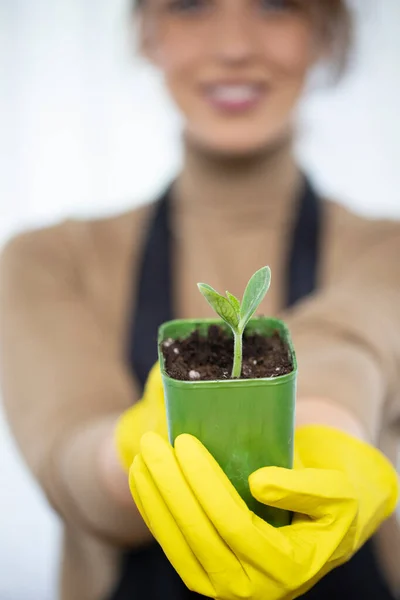 positive joyful girl holding pot of flower sprouts after planting