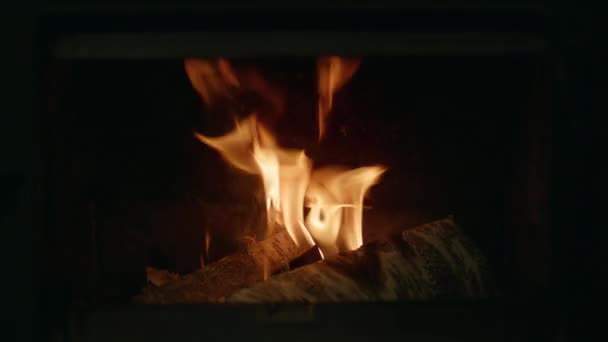 Close-up zicht op kampvuur kampvuur buiten, magische rode vorken van vlam — Stockvideo