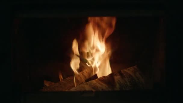 Close-up kampvuur buiten vorken van vlam van open-air vuur op zwarte achtergrond — Stockvideo