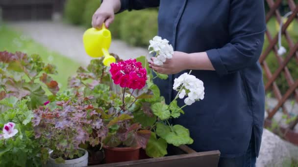 Кавакасійська садівниця поливає квітучі весняні квіти.. — стокове відео