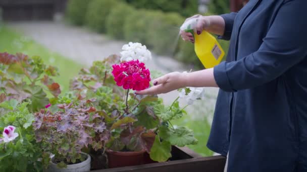 Jardinero femenino Cauacasiano rociando flores con agua . — Vídeos de Stock