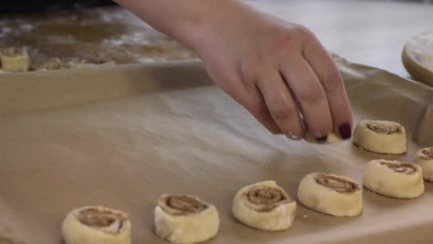 Close up mão feminina coloca pães de canela na assadeira com papel manteiga — Vídeo de Stock