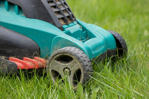 dirty lawn mower stands in stems of green grass