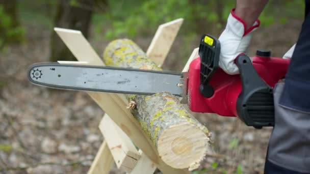 Scie à chaîne en action coupe du bois. Homme coupant l'arbre en rondins avec scie sur sawhorse — Video