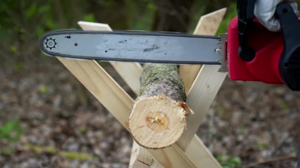 Primo piano di taglialegna segare tronco d'albero su sawhorse, segatura volare ai lati — Video Stock