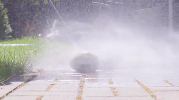 Tuinman spoelt vuil en mos van stenen weg met een krachtige straal water. — Stockvideo