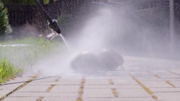 Gardener washes stones from moss using high pressure washer in the courtyard. — Stock Video