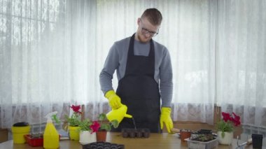 Paletlerde fidanlar için toprağı sulayan genç erkek bahçıvan, bitkiler yetiştiriyor.