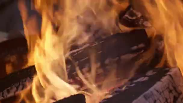 Gros plan du feu de joie près de la tente de camping dans la forêt la nuit d'été.