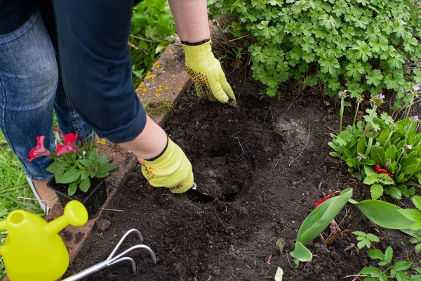 Guantes jardineros mano afloja suelo fértil con azada culti antes de plantar — Foto de Stock