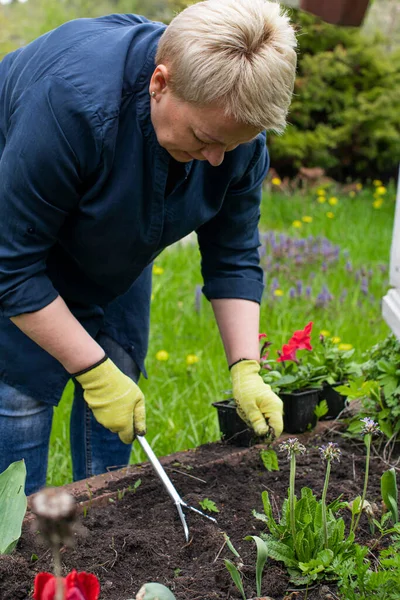 Mujer jardinero elimina las malas hierbas del jardín con azada, afloja cama de plántulas — Foto de Stock