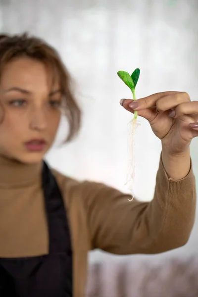 Close up jardineiro feminino segure microgreens legumes mudas com raízes na mão — Fotografia de Stock