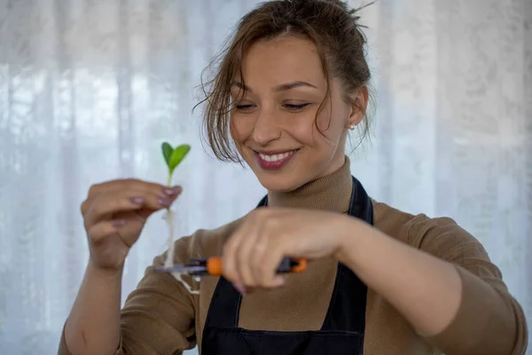 Primer plano retrato de feliz hembra jardinero poda plántulas raíces de microgreens — Foto de Stock