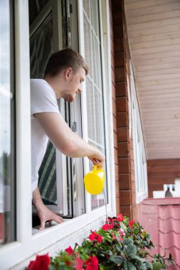 Kırsal evin penceresinin altındaki saksıda kırmızı petunyaları sulayan adam.