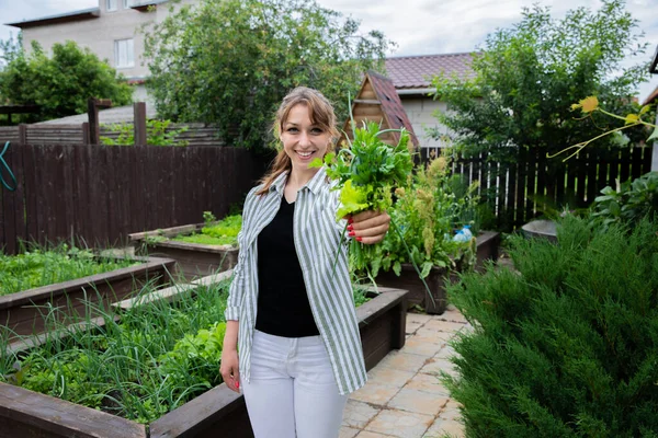 Hermosa mujer sosteniendo verduras frescas de la cosecha en el fondo del jardín, agricultura — Foto de Stock