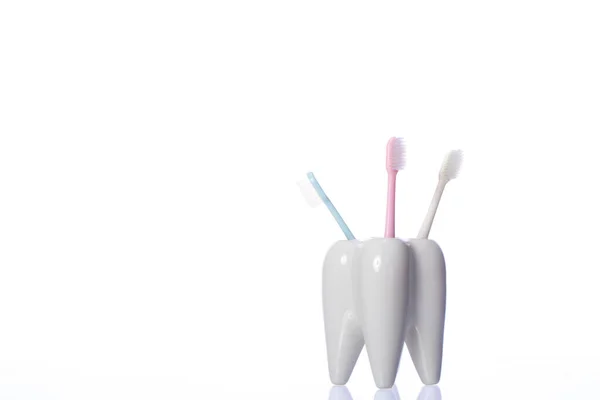 Shiny tooth-shaped toothbrush keeper isolated on white background copy space — Stock Photo, Image