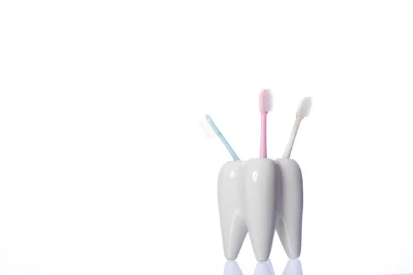 Tres cepillos de dientes en soporte en forma de diente de cerámica aislados sobre fondo blanco — Foto de Stock