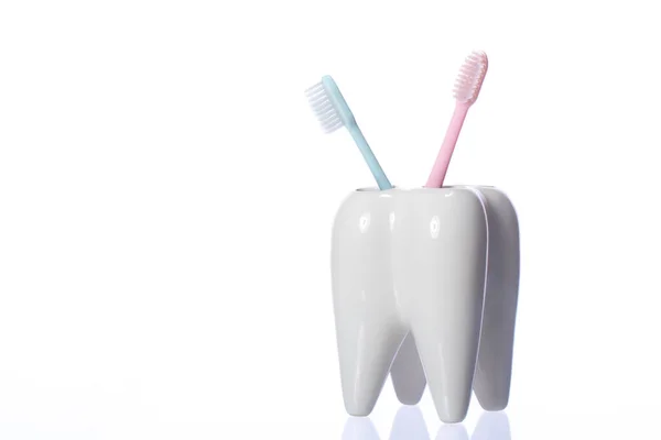 Dos cepillos de dientes en forma de soporte de dientes de cerámica aislados sobre fondo blanco — Foto de Stock