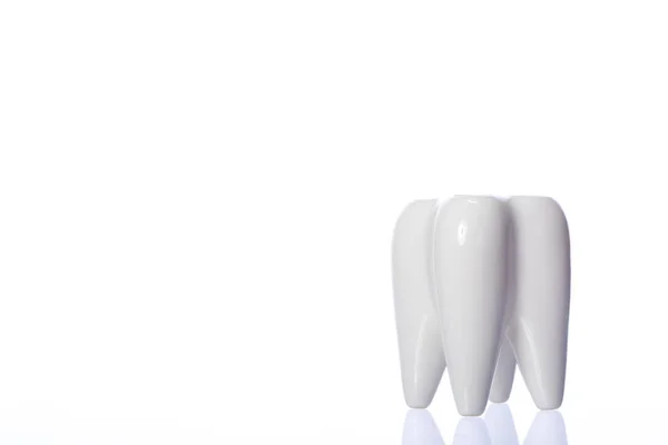 Witte glanzende decoratieve tand. Close-up van tandvormige houder voor tandenborstels — Stockfoto