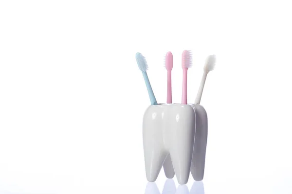 Quatro escovas de dentes em suporte cerâmico em forma de dente isolado em fundo branco — Fotografia de Stock