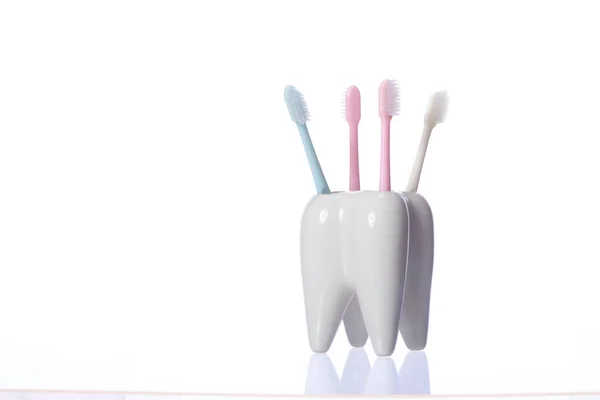 Four colorful pastel shades toothbrushes in tooth-shaped holderon white — Stock Photo, Image
