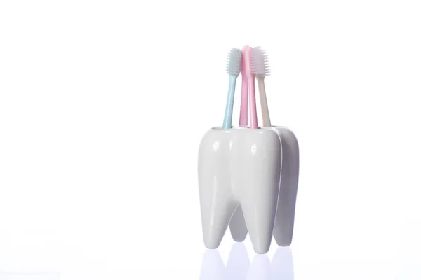 Cuatro coloridos cepillos de dientes en un recipiente en forma de diente. Diente decorativo blanco — Foto de Stock