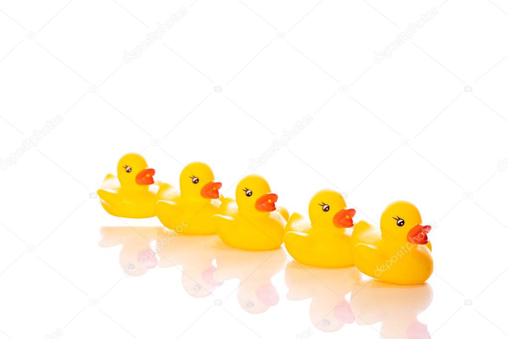 Five yellow rubber ducks lined up isolated on white background. Conformism