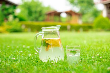 Portakallı taze yaz limonatası, açık havada yeşil çimenlikte nane.