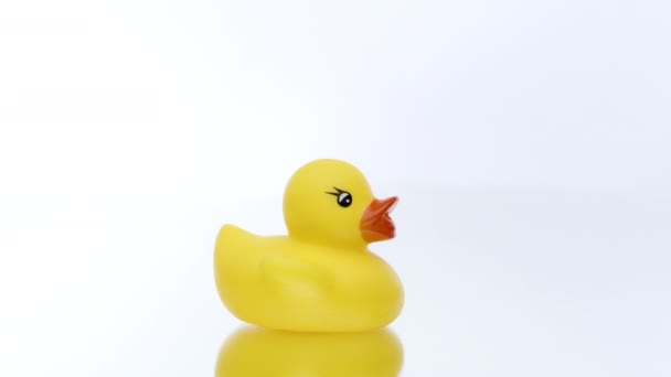 One mini yellow rubber duck rotating on isolated white background — Stock Video