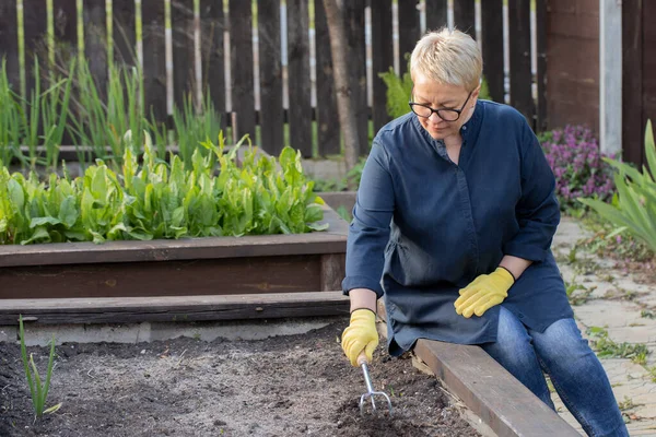 Mujer atractiva afloja suelo fértil antes de plantar semillas en cama de jardín elevada — Foto de Stock