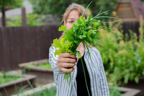 Mujer joven sostiene ramo de cebollas verdes, perejil y hojas de ensalada de lechuga — Foto de Stock