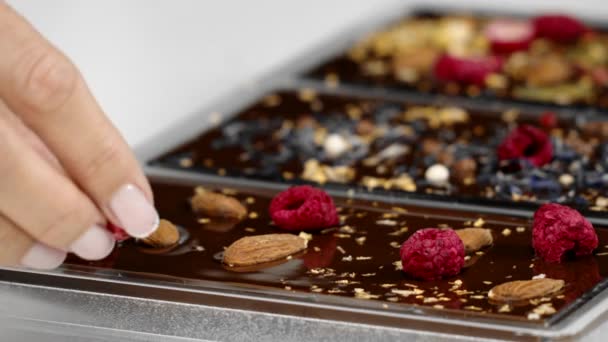 Close-up decoração de barras de chocolate artesanais com especiarias, bagas secas e nozes — Vídeo de Stock