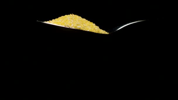 Organic corn grits falling down from teaspoon isolated on black slow motion — Stock Video