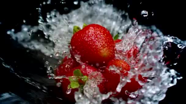 Frutos de fresa creando hermosas salpicaduras con flujos de agua aislados en negro — Vídeos de Stock