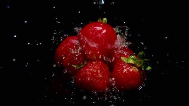 Красные спелые сочные клубнику промывают под чистой водой изолированы на черный — стоковое видео