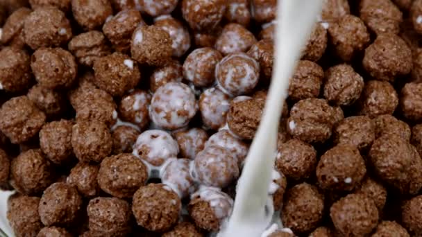 Mjölk häller i frukost spannmål choklad majs bollar närbild slow motion — Stockvideo