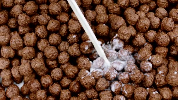 Mjölk ström jet hälla på många choklad bollar slow mo. Frukostkoncept — Stockvideo