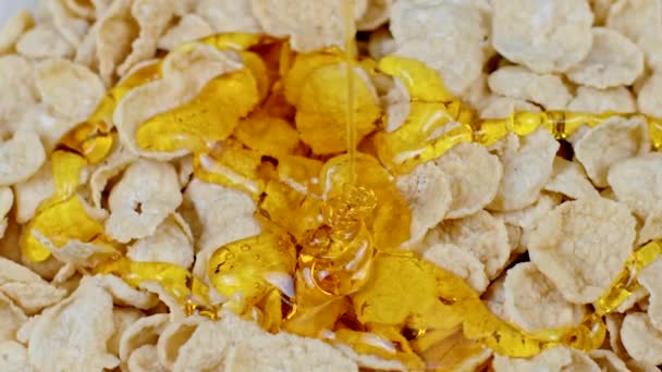 Квітковий мед тече на кукурудзяних пластівцях вівсяний сніданок повільний рух. Правильне харчування — стокове відео