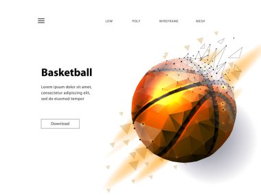 Basketbol topu silueti. Nokta, çizgiler, üçgenler, metin, renk efektleri ve arka plan ayrı bir katmanda, renk tek bir tıklamayla değiştirilebilir. Düşük poli tel kafes örgü Vektör illüstrasyon