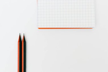 Beyaz arka plan üzerinde izole kalem ile boş not defteri.